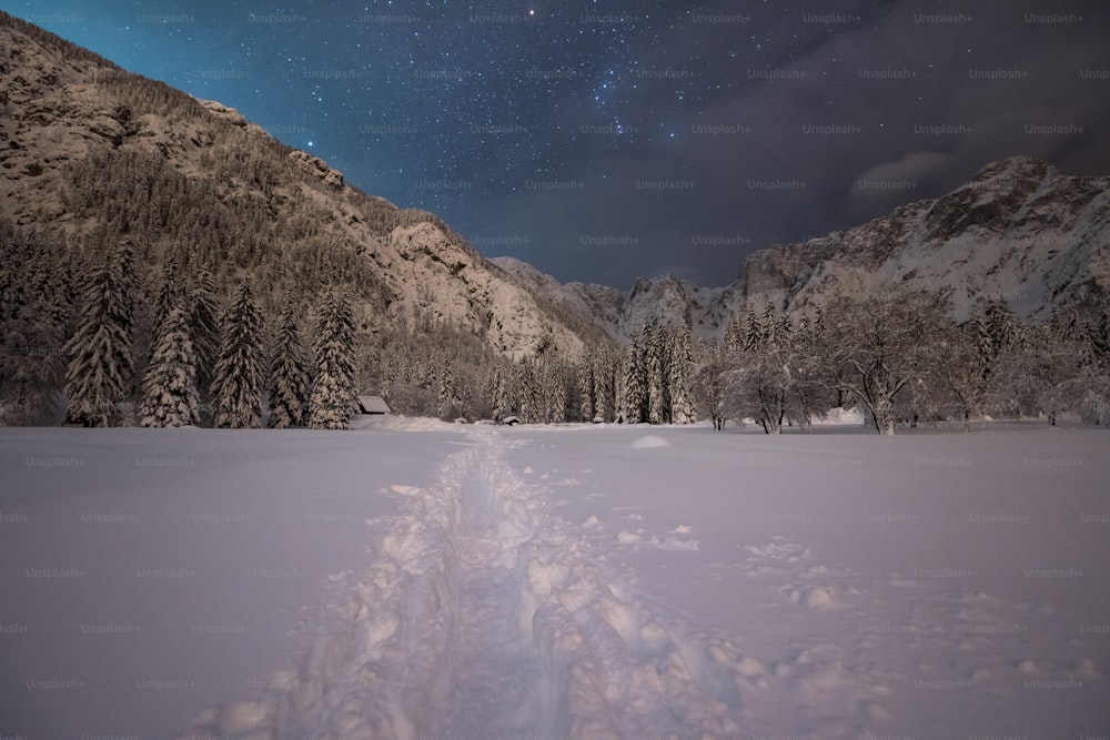 un campo cubierto de nieve con un sendero que lo atraviesa