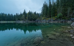 a body of water surrounded by trees and rocks