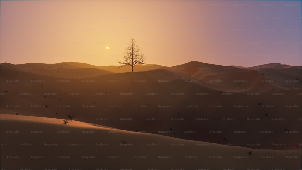 Un árbol solitario en medio de un desierto