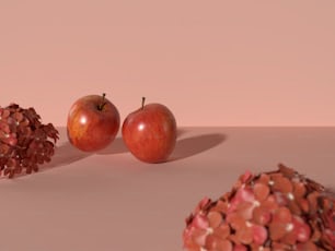 테이블 위에 앉아있는 사과 두 개