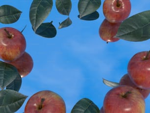 um grupo de maçãs vermelhas sentadas em cima de folhas verdes