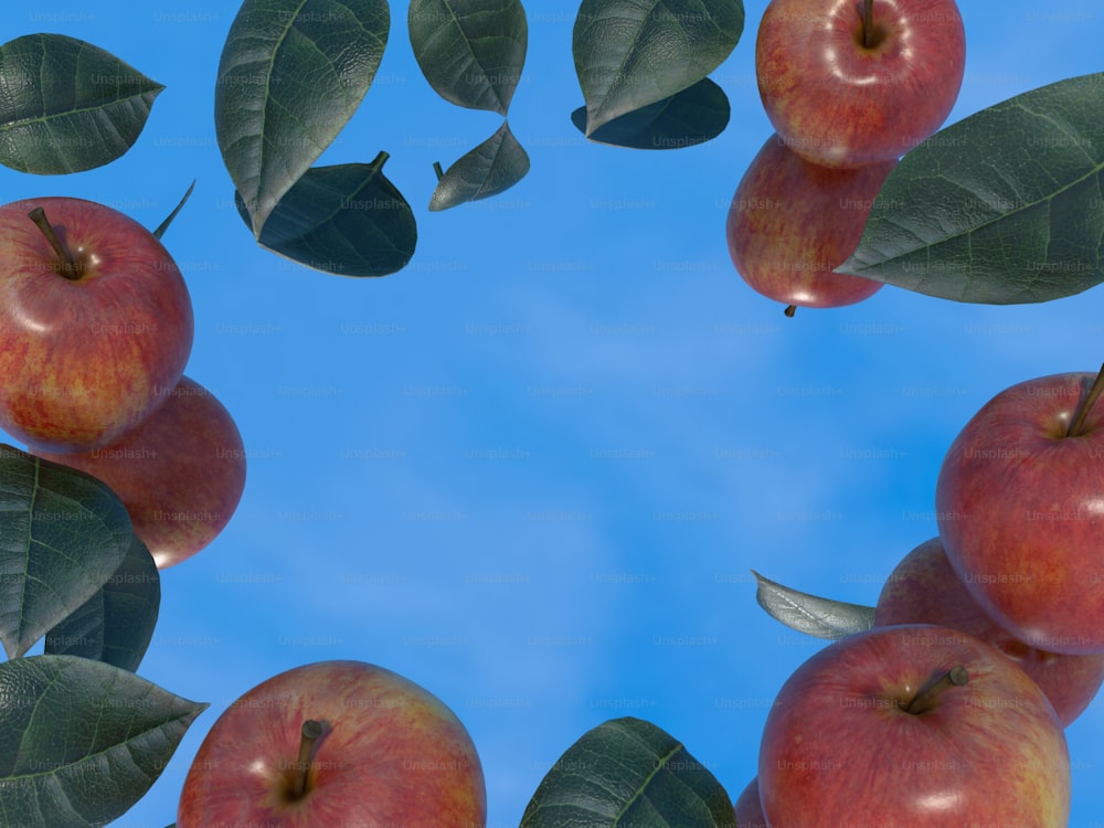a group of red apples sitting on top of green leaves