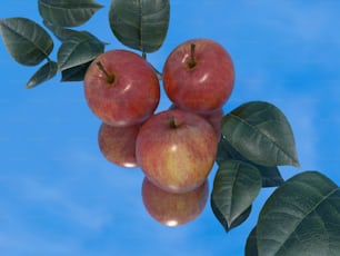 um grupo de maçãs penduradas em um galho de árvore