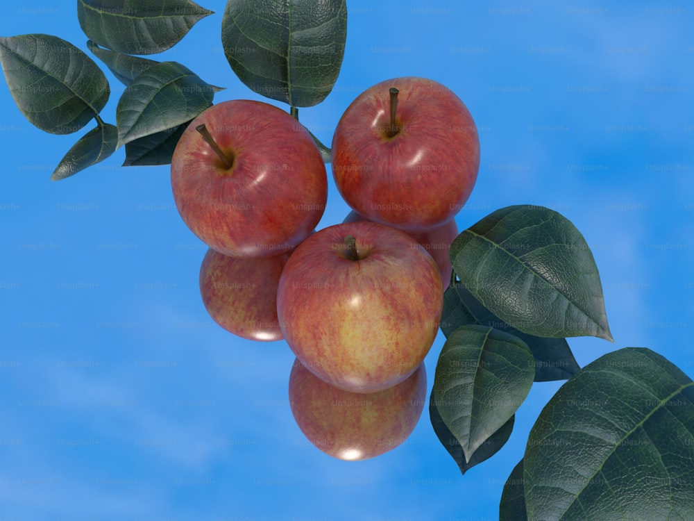a group of apples hanging from a tree branch