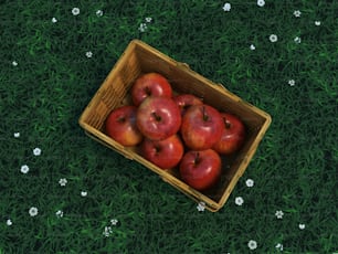 a wooden box filled with red apples on top of a green field