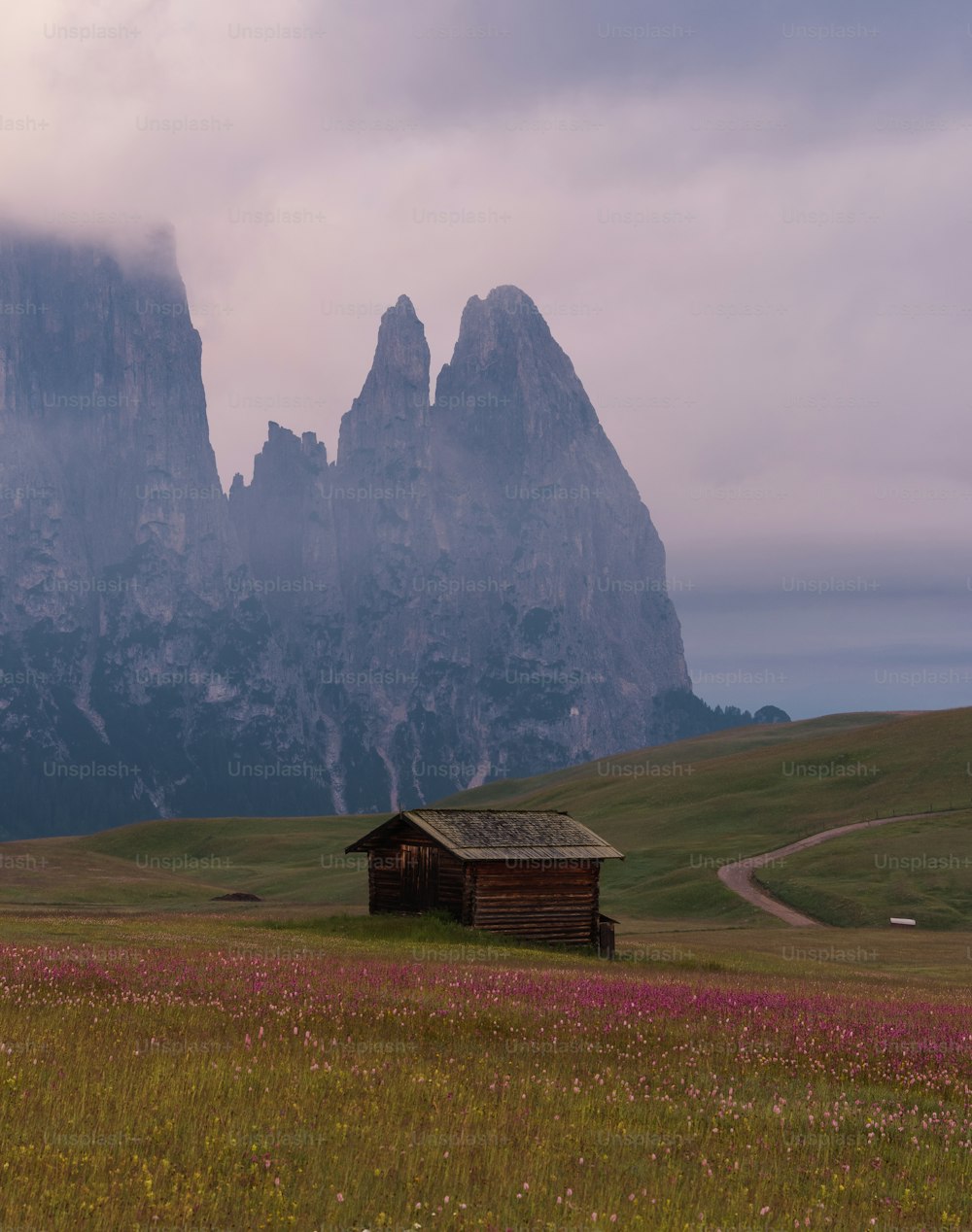 uma casa em um campo com montanhas no fundo
