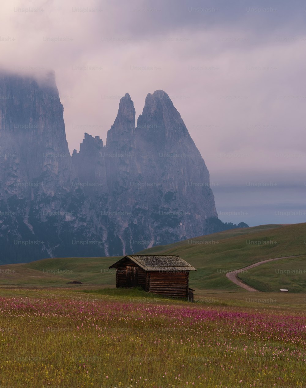 a house in a field with mountains in the background