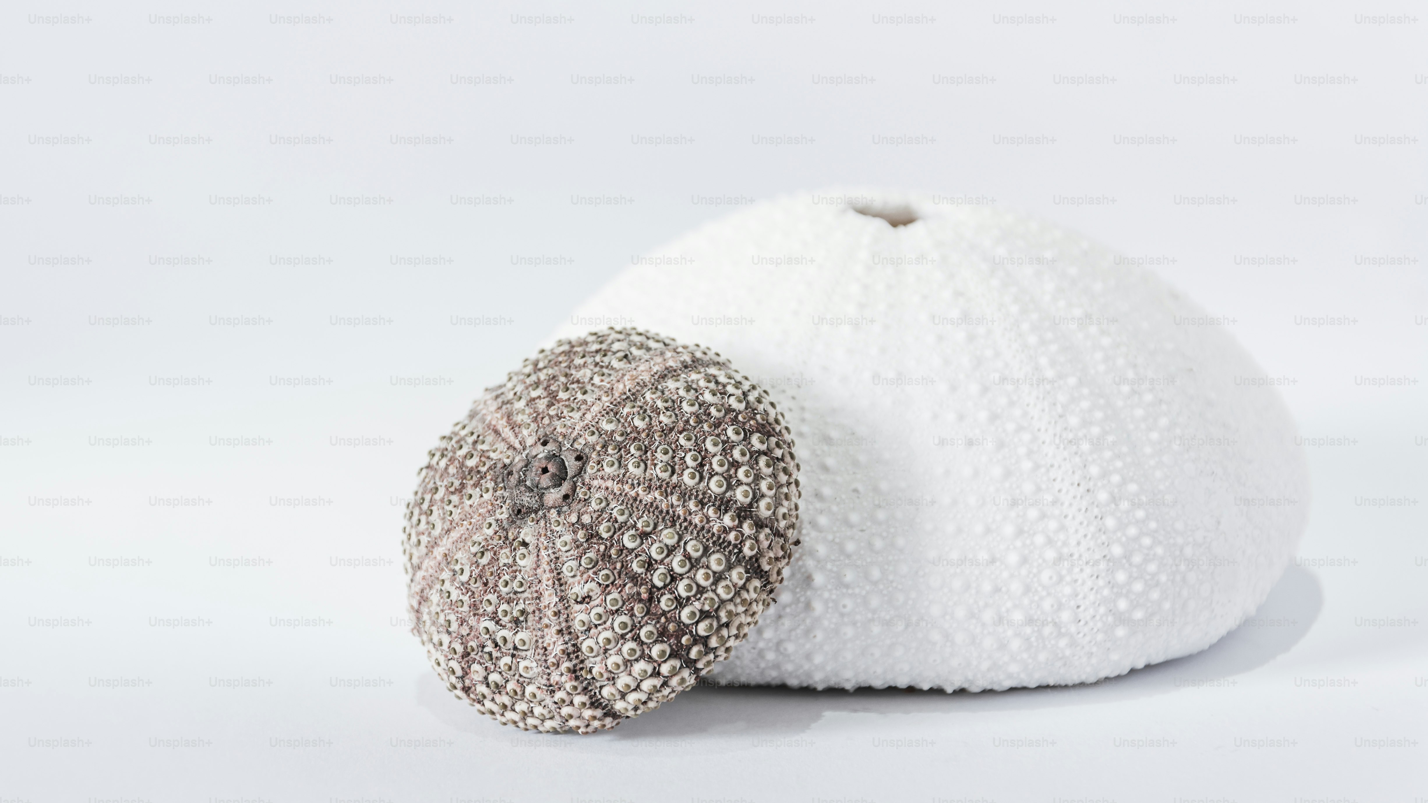 a white ball with a silver bead decoration on top of it