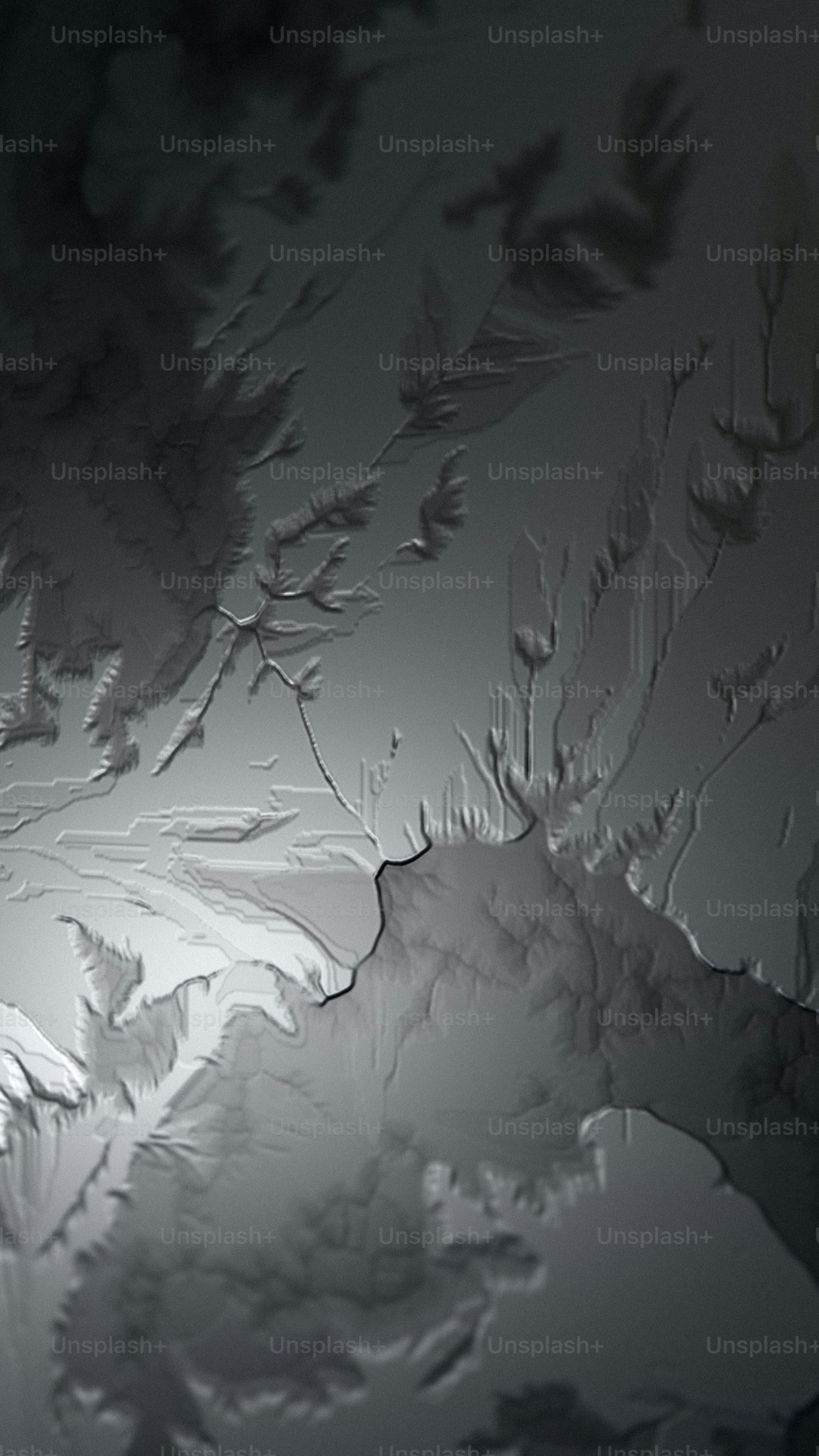 a black and white photo of a leafy plant