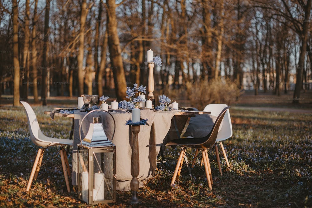 a table set up for a dinner in the woods