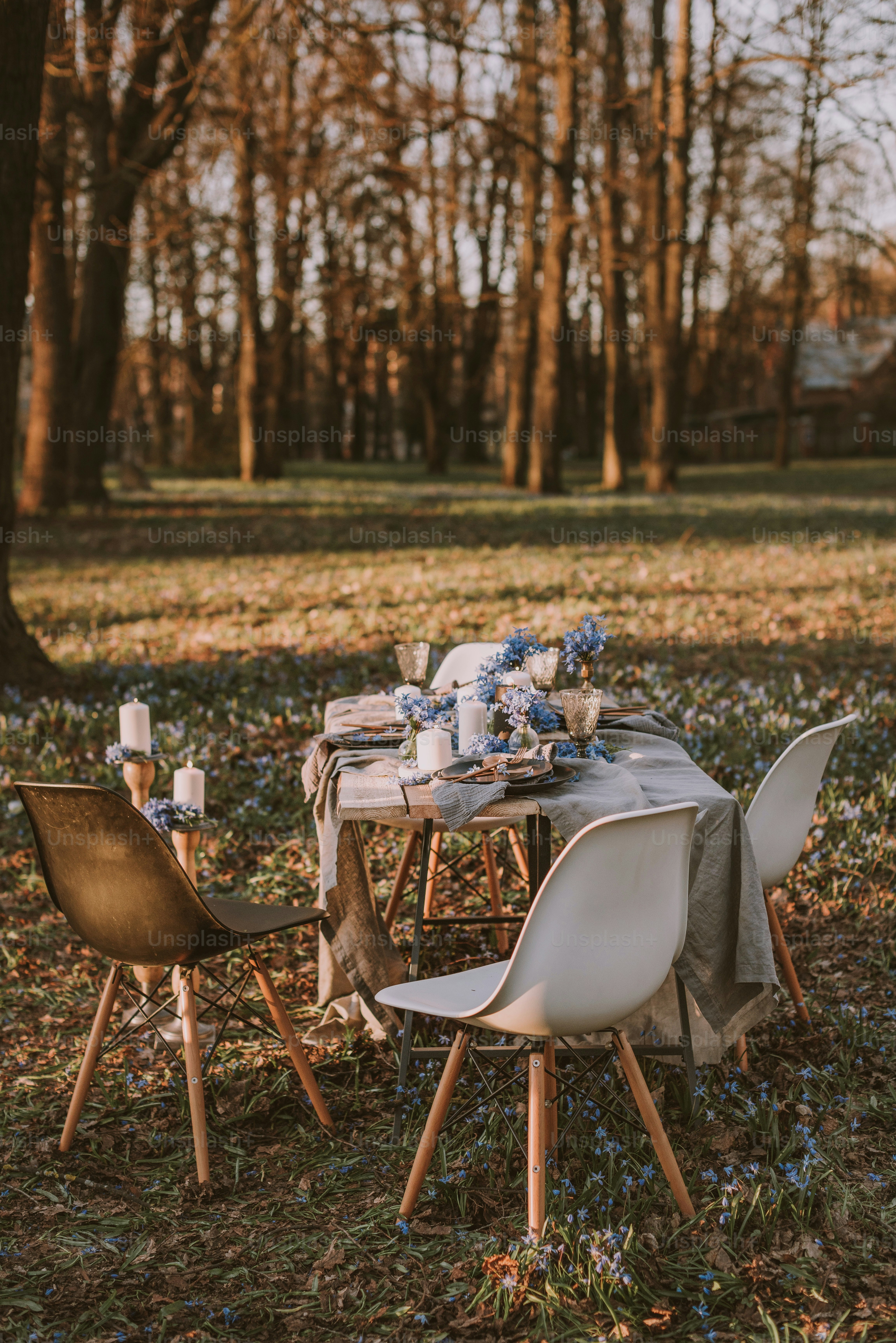 A table set up in the middle of a forest photo – Flowers Image on Unsplash