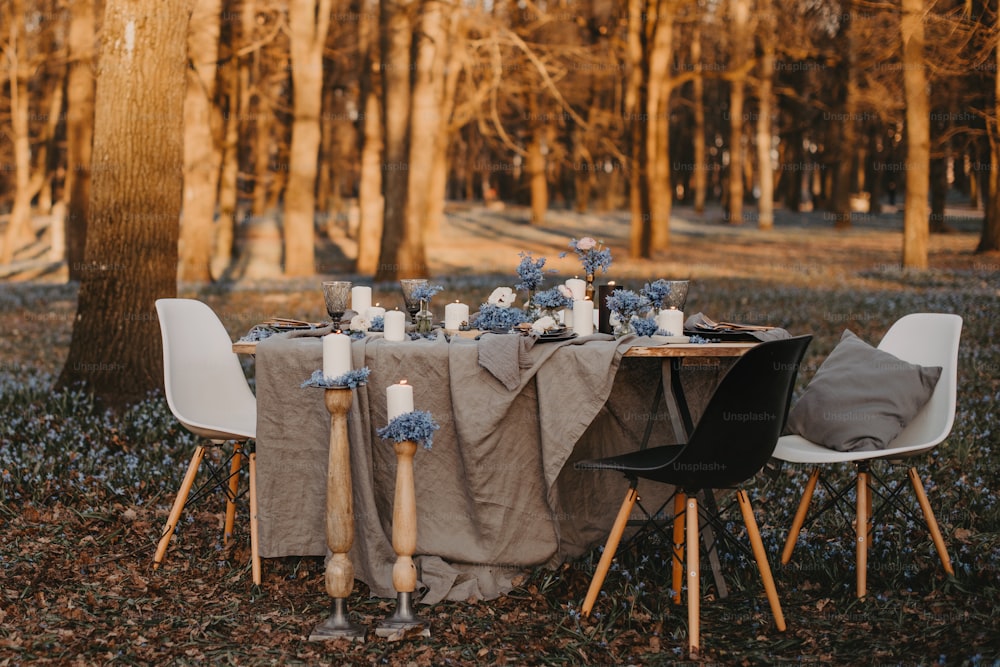 a table set up for a dinner in the woods