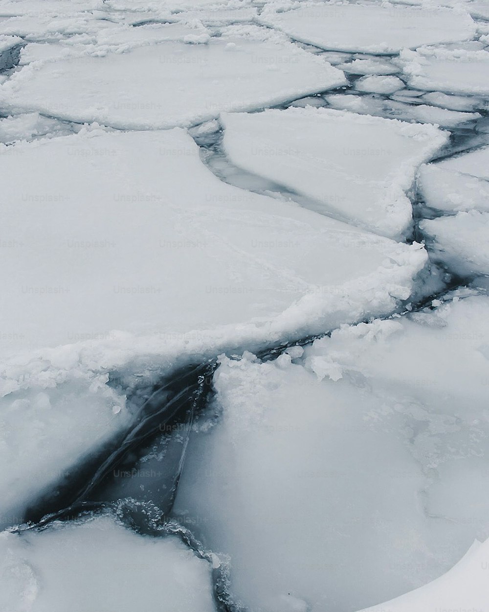 수역 위에 떠 있는 많은 양의 얼음