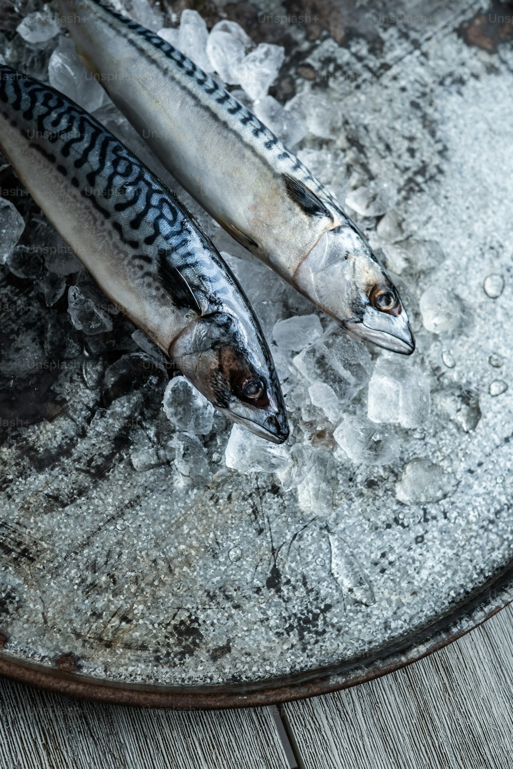 two fish are sitting on ice on a plate