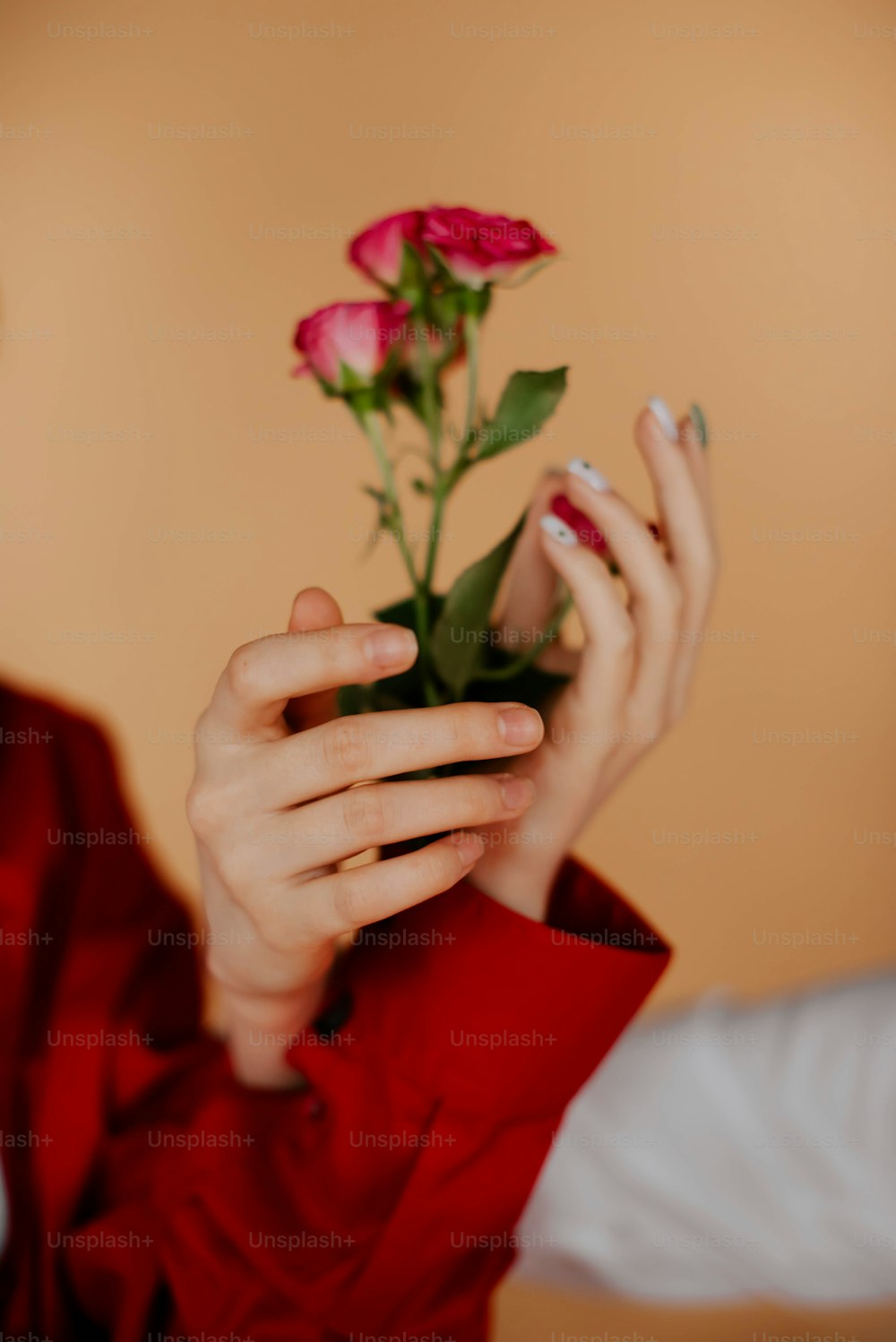 Una mujer sosteniendo una rosa en sus manos