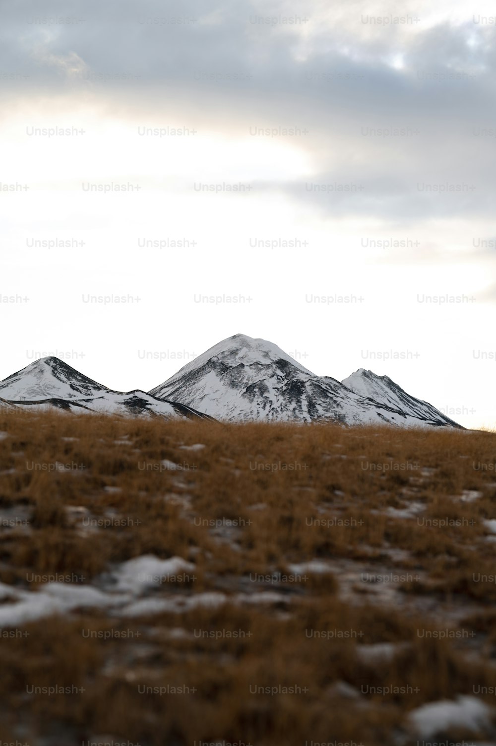 a field with snow covered mountains in the background
