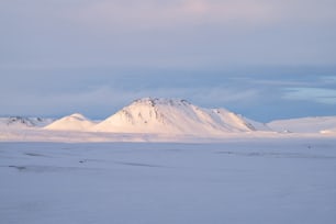 uma paisagem nevada com uma montanha no fundo