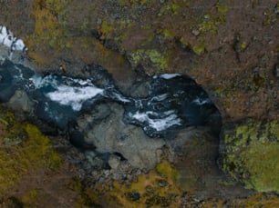 an aerial view of a body of water surrounded by moss
