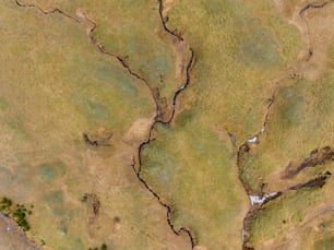 uma vista aérea de uma área gramada com um rio que a atravessa