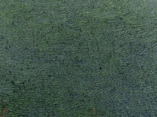 Luftaufnahme einer großen grünen Wiese