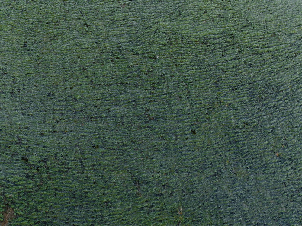 an aerial view of a large green field