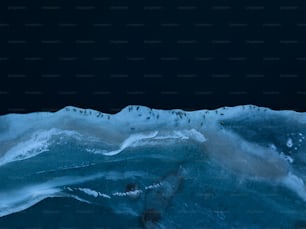 a group of birds sitting on top of an ice covered mountain