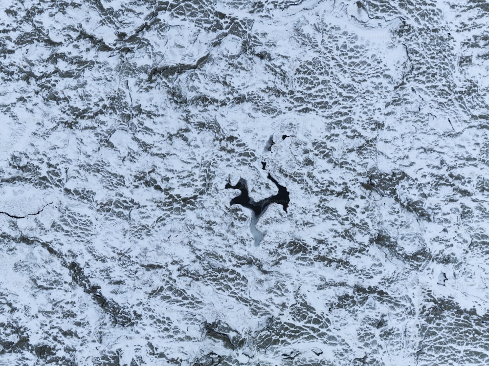 an aerial view of a dog in the snow