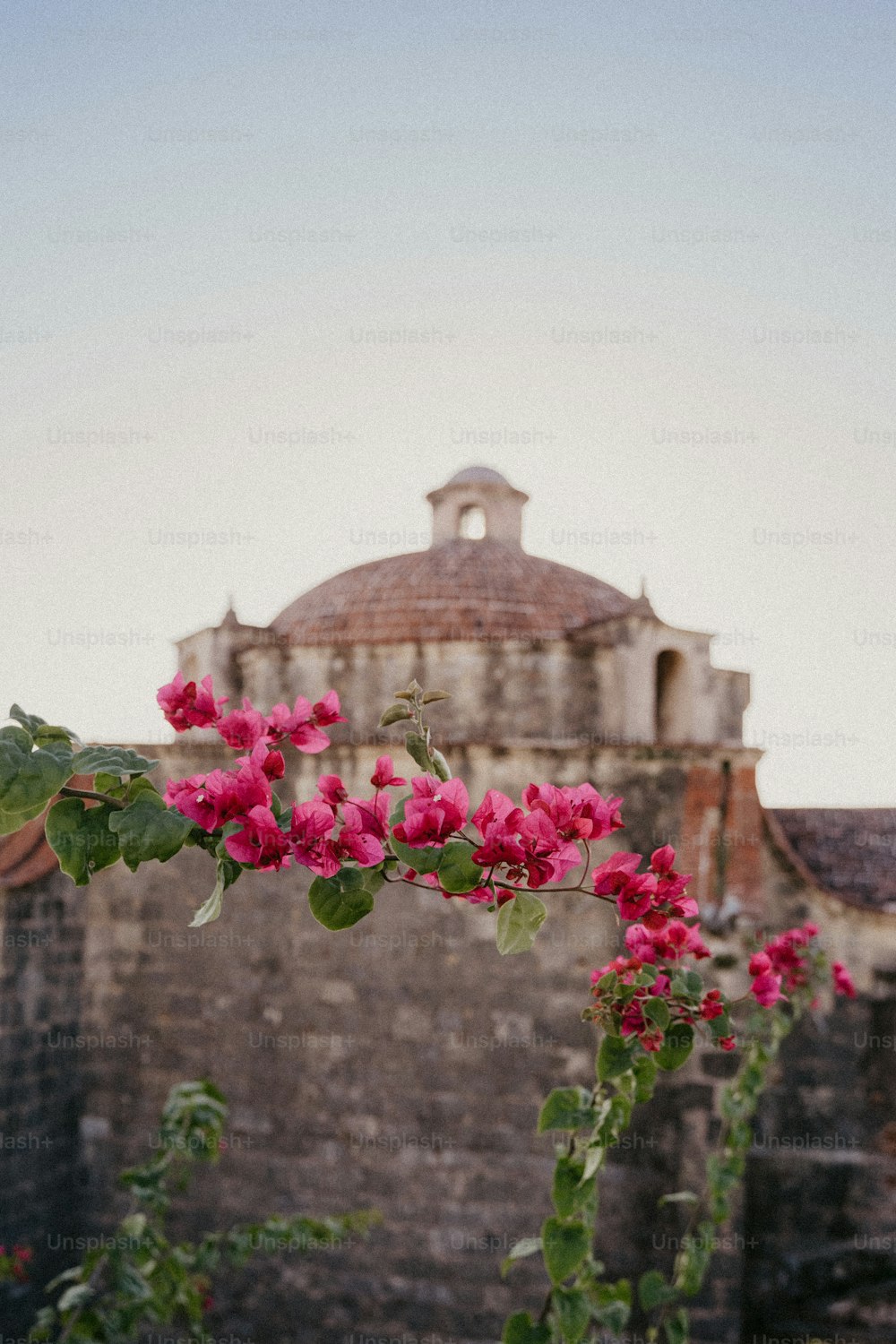 a building with a dome and flowers in front of it