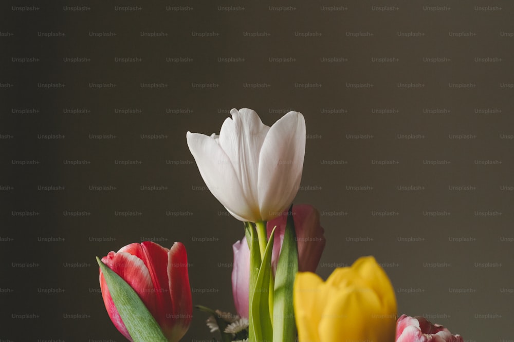 ein Strauß Tulpen und andere Blumen in einer Vase