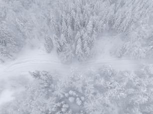 an aerial view of a snow covered forest