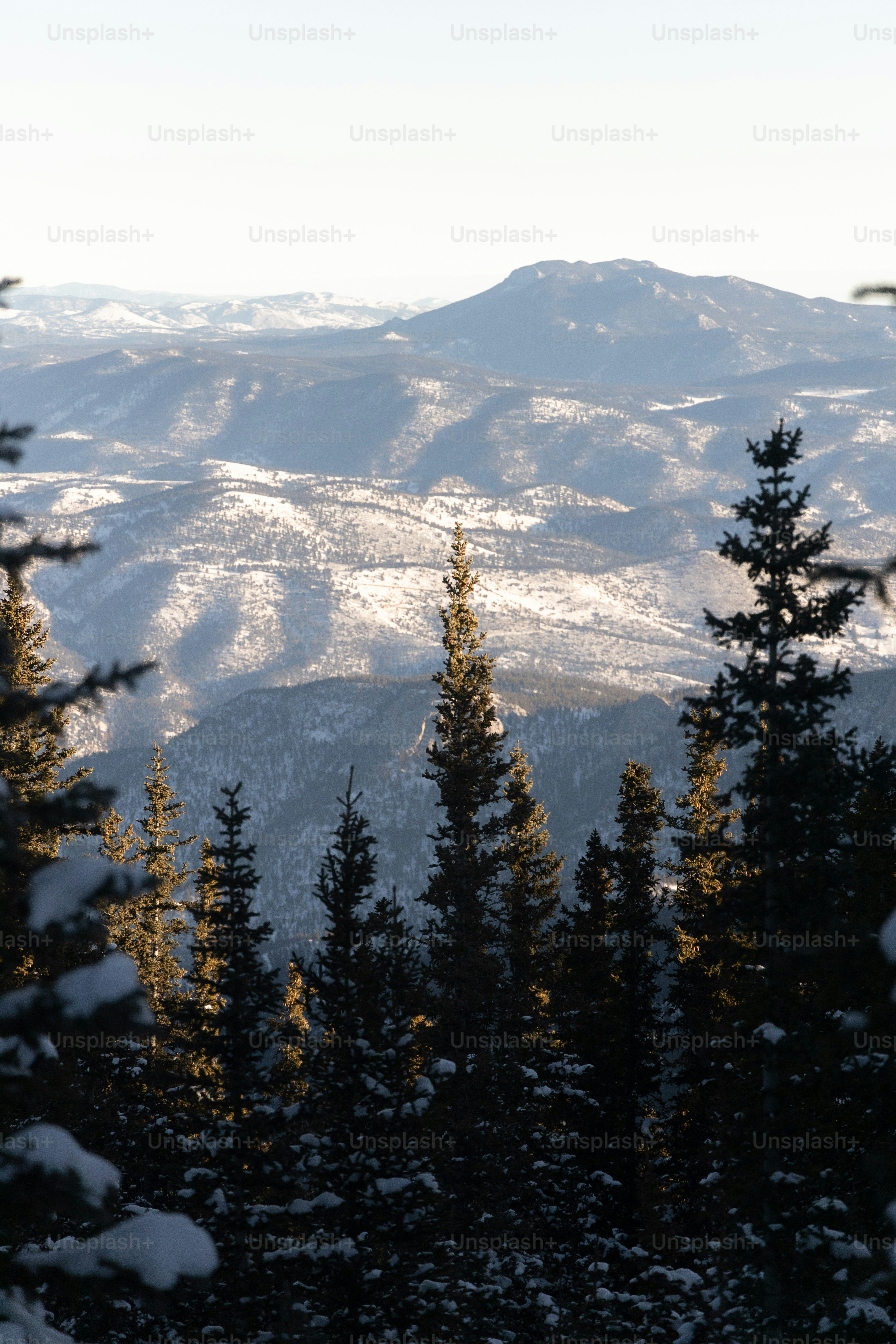 a view of a mountain range with trees covered in snow