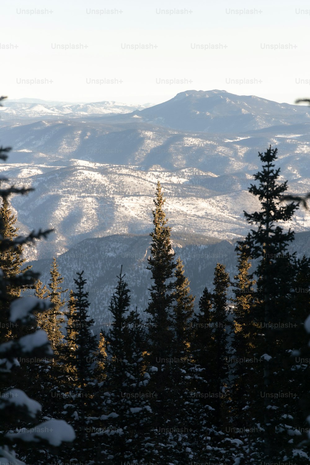 uma vista de uma cordilheira com árvores cobertas de neve