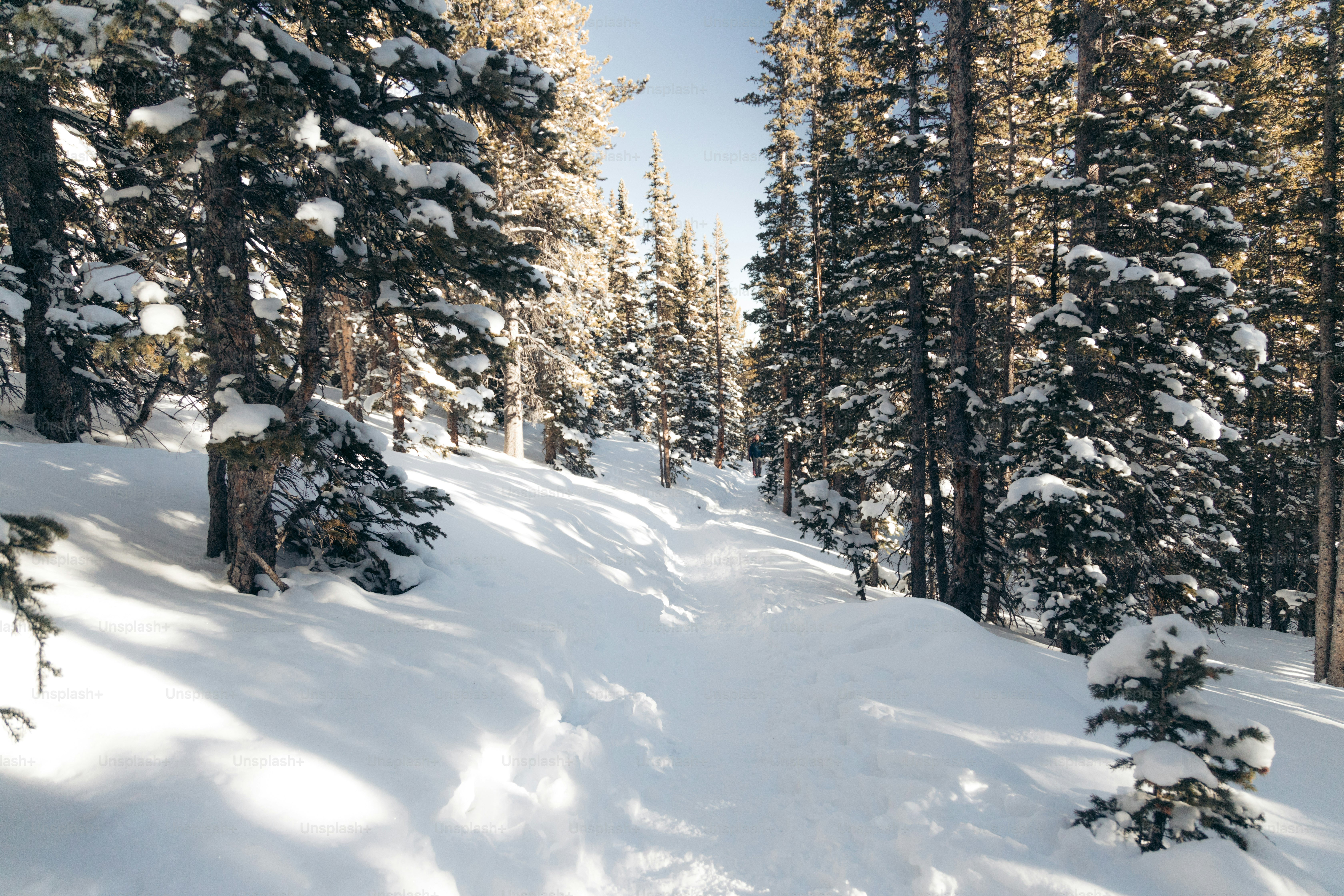a person riding skis down a snow covered slope