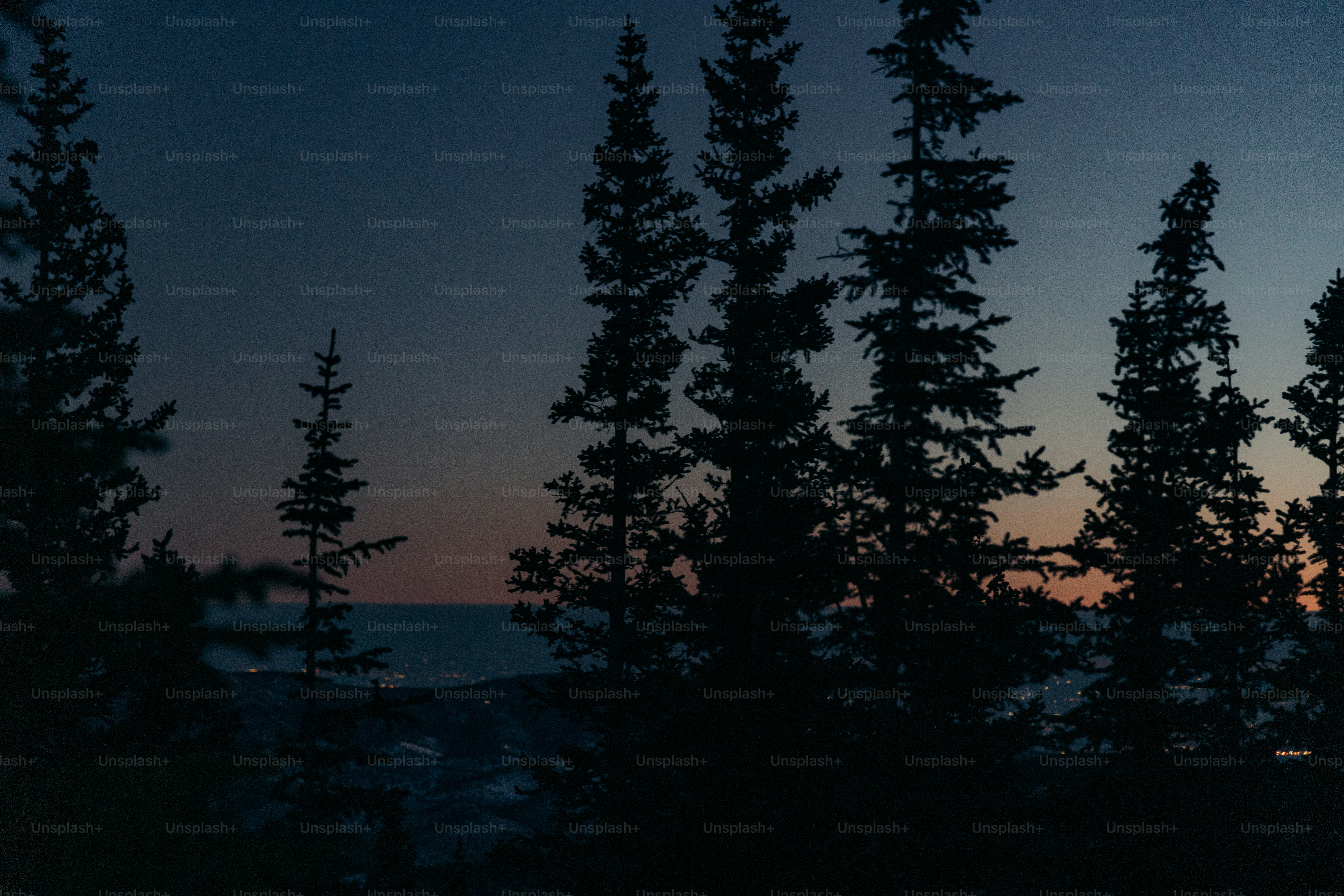 a view of a sunset through some trees