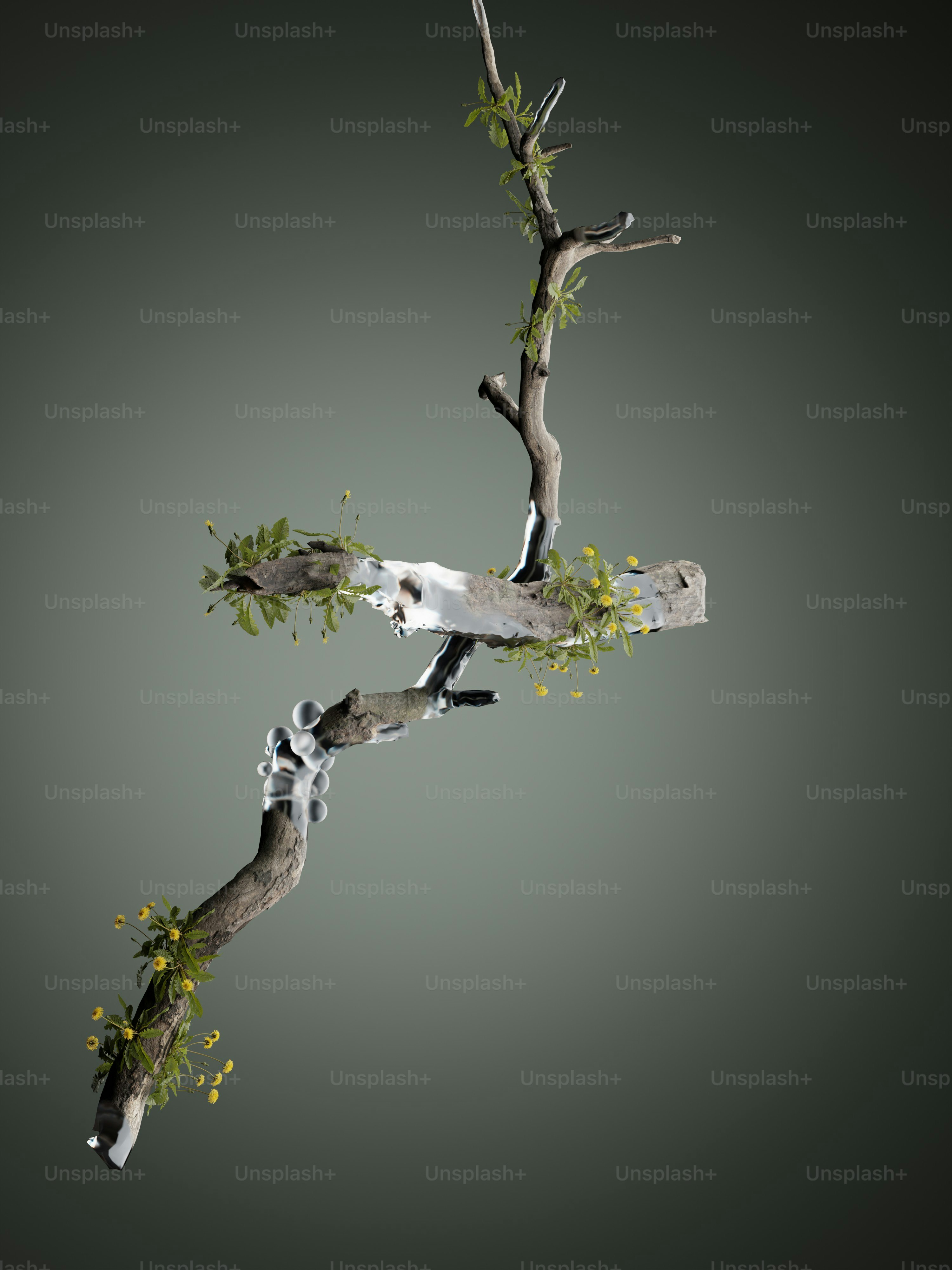 ein Zweig eines Baumes mit gelben Blüten