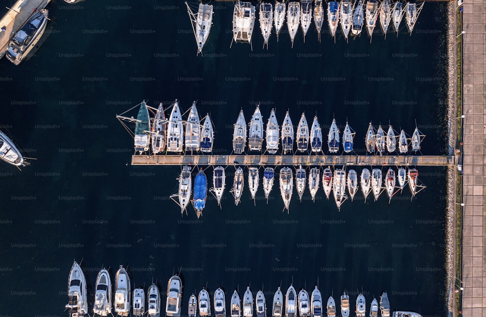 un gruppo di barche che sono in acqua