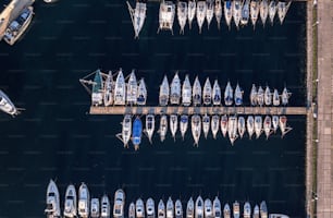 ein Haufen Boote, die im Wasser sind