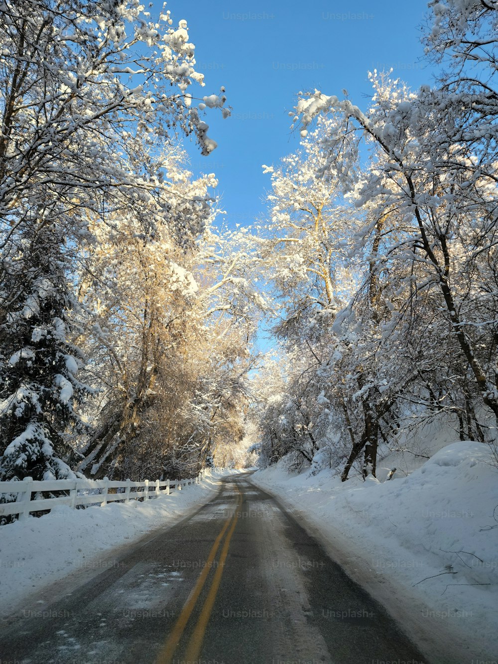 Eine Straße mit Schnee auf dem Boden und Bäumen auf beiden Seiten