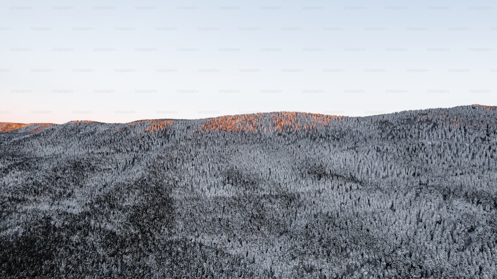 uma vista do topo de uma montanha com árvores em primeiro plano