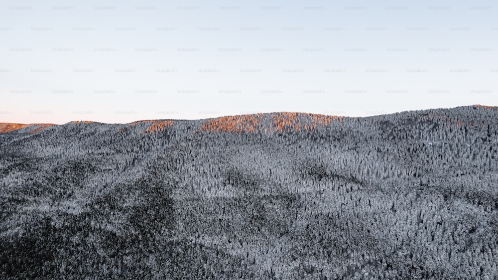 a view of the top of a mountain with trees in the foreground