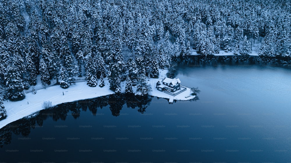 an aerial view of a lake surrounded by trees