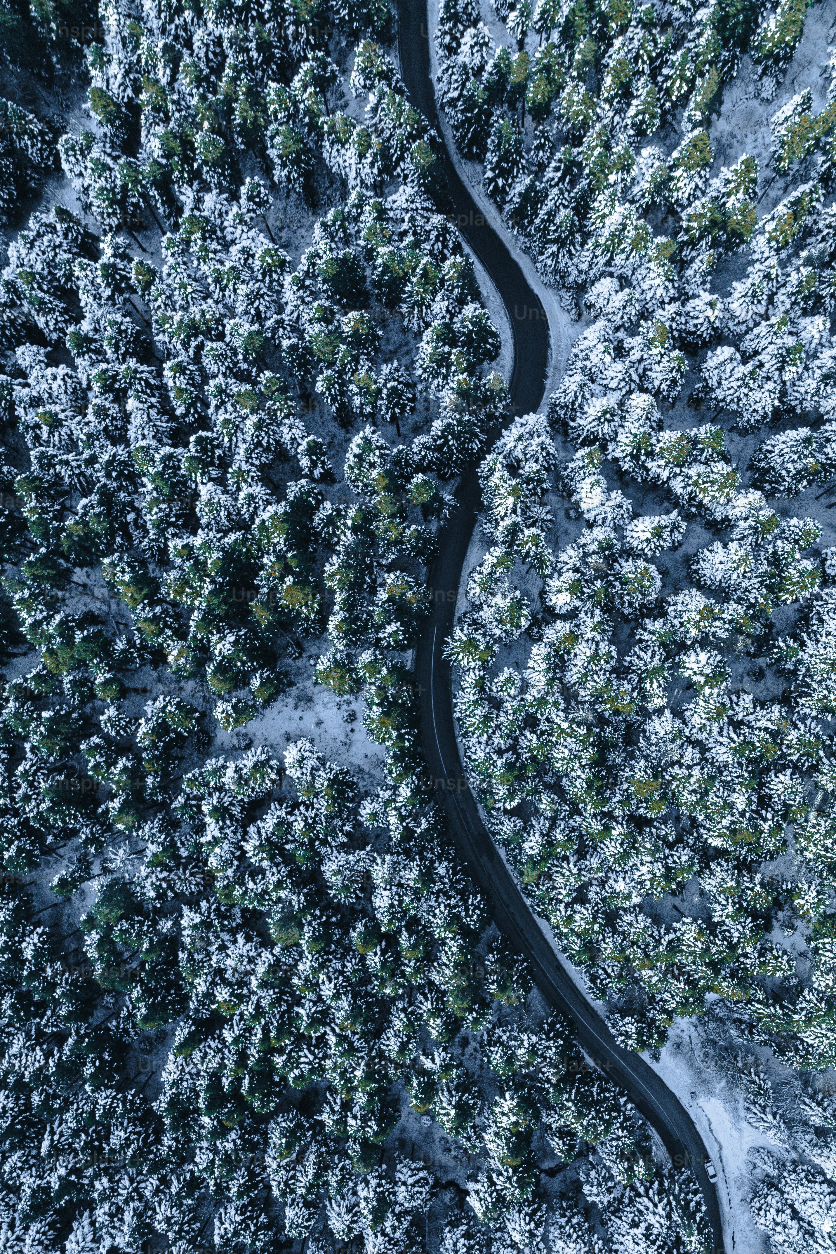 Luftaufnahme einer Straße, die sich durch einen schneebedeckten Wald schlängelt