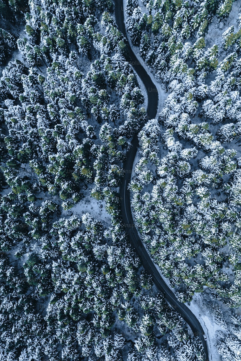 Luftaufnahme einer Straße, die sich durch einen schneebedeckten Wald schlängelt
