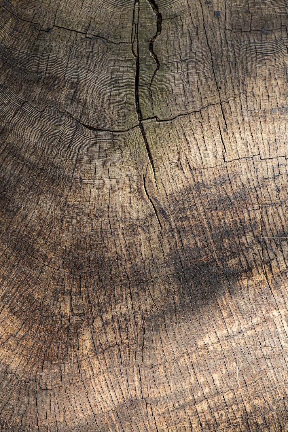 un pezzo di legno tagliato a metà