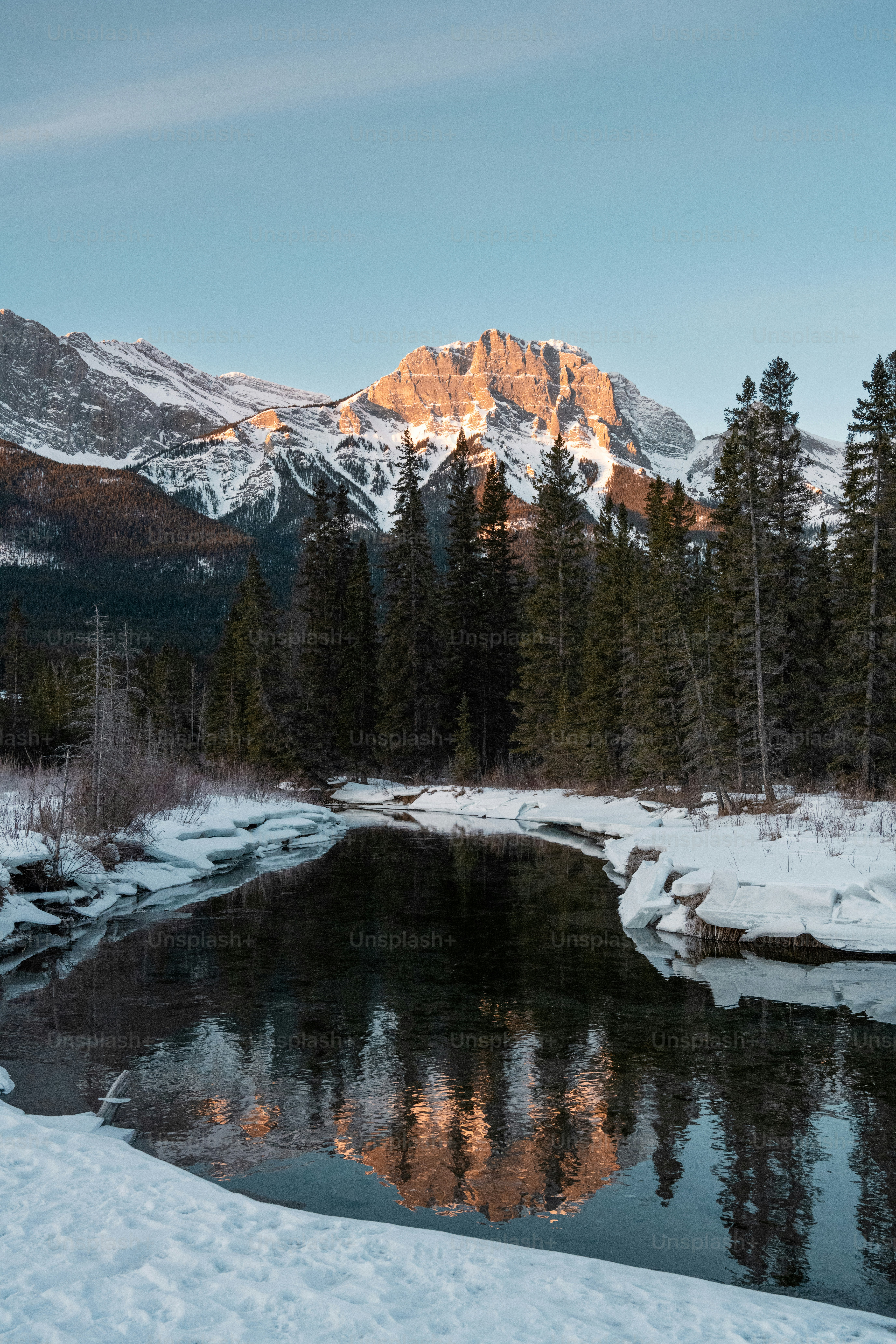 a snowy landscape with a mountain in the background
