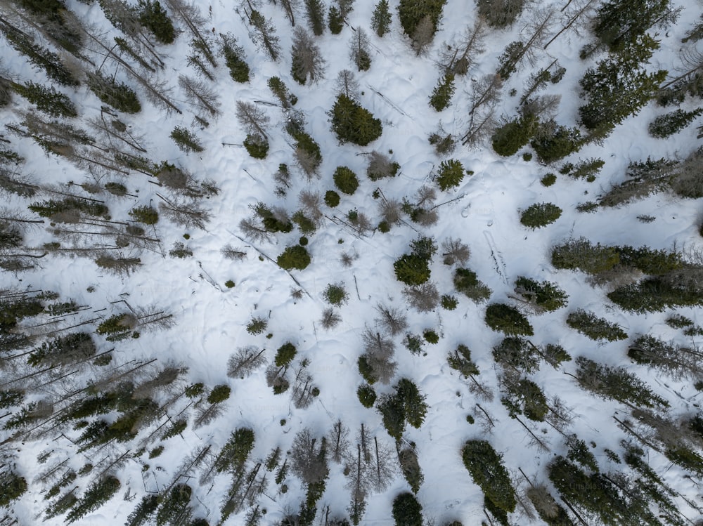 an aerial view of a snow covered forest