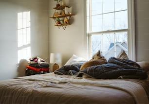 a cat laying on a bed in front of a window