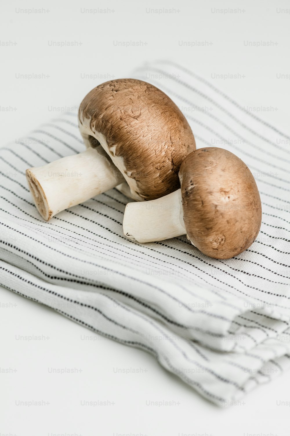 a couple of mushrooms sitting on top of a towel
