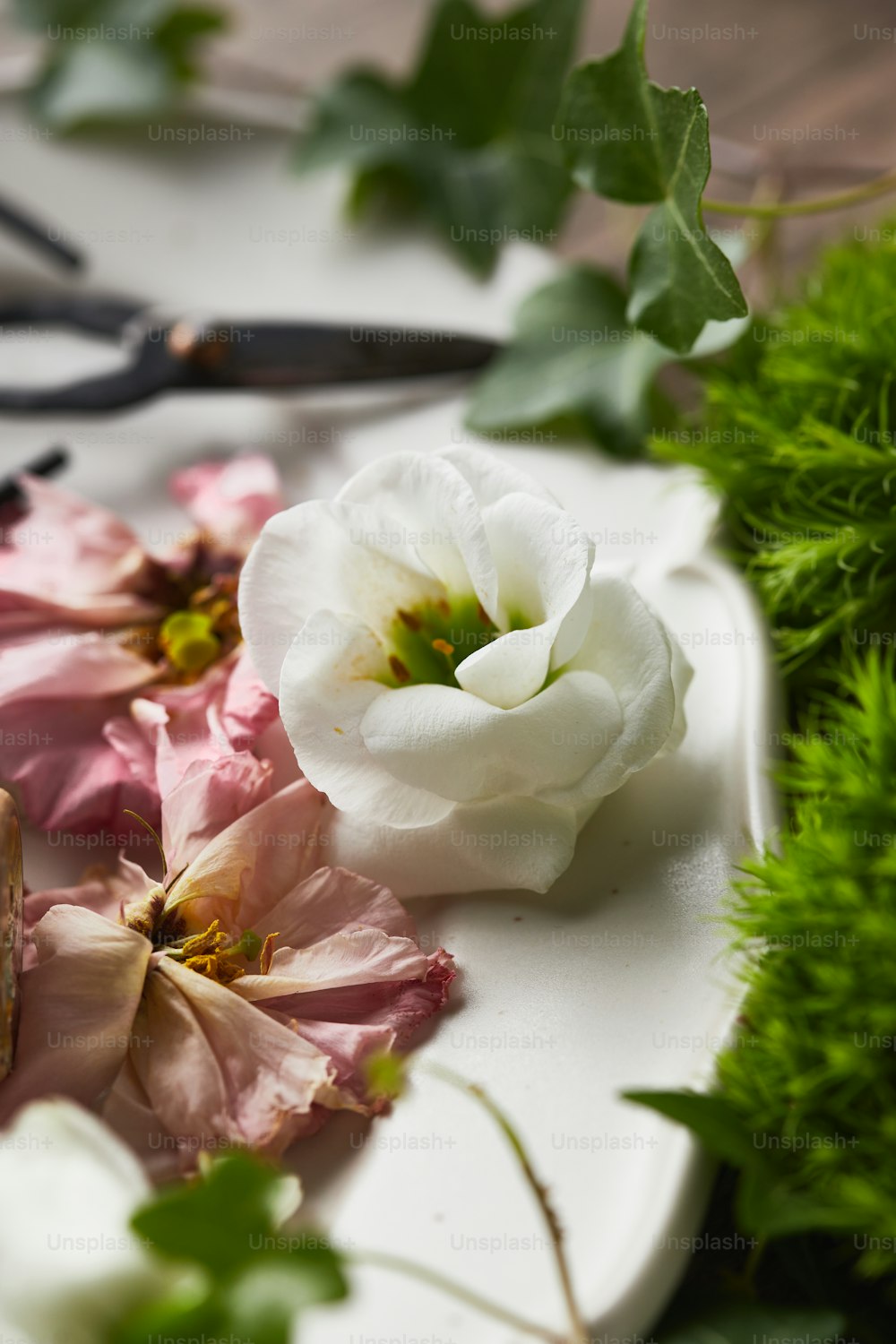une assiette blanche surmontée de fleurs roses et blanches