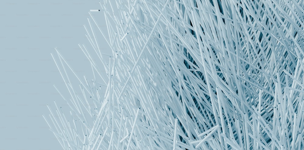 a close up of a bunch of white sticks